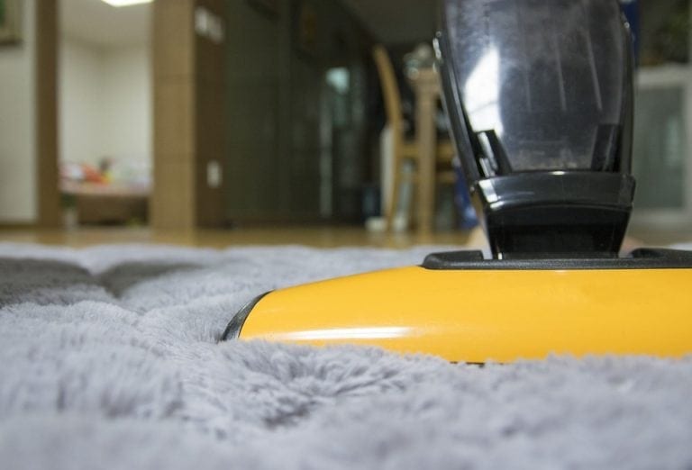 How to Use a Carpet Steam Cleaner Cleaning Service Clearwater