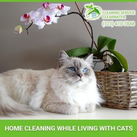 Home Cleaning While Living With Cats