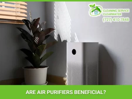 Do Air Purifiers Really Work and Are They Worth It?