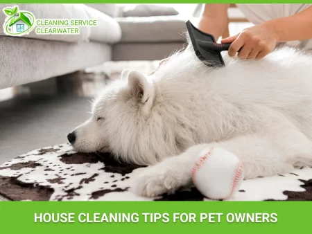 simple house-cleaning tips for all pet owners to try at home